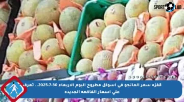 قفزة سعر المانجو في أسواق مطروح اليوم الأربعاء 30-7-2025.. تعرف على أسعار الفاكهة الجديدة